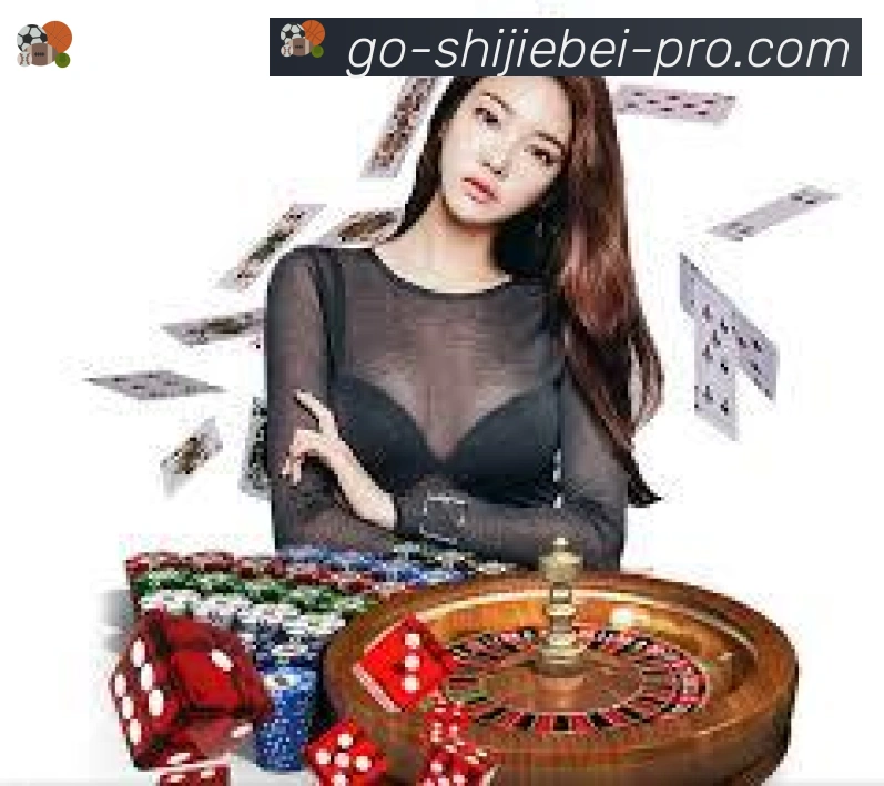 未来规划