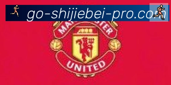 世界杯数据官方网站合作伙伴